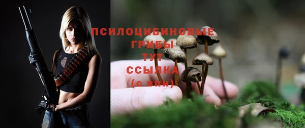 сатива Балахна