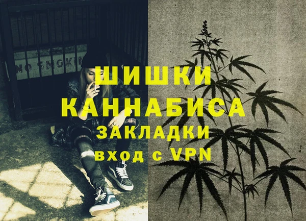 ECSTASY Богородицк