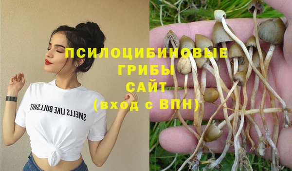 каннабис Богданович