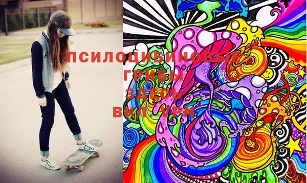 ECSTASY Богородицк