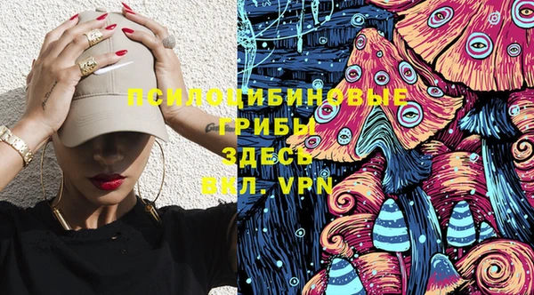 apvp Бугульма